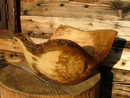 Hrušková cípatá — foto 3
