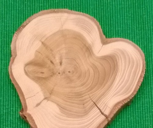 Podtácky sada 5ks — foto 2