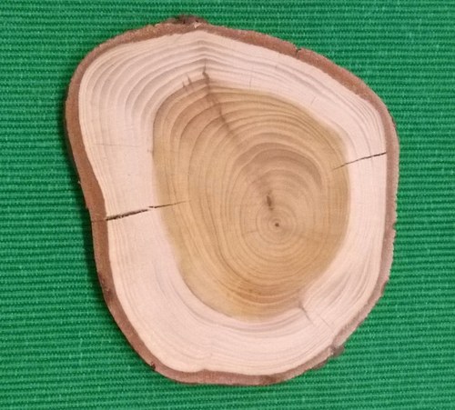 Podtácky sada 8ks — foto 2
