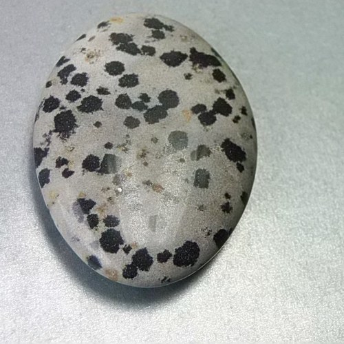 Jaspis dalmatin D297 — foto 2