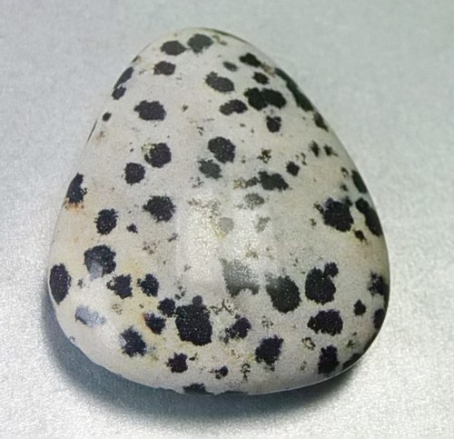 Jaspis dalmatin D299 — foto 2
