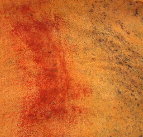 Oranžová — foto 2