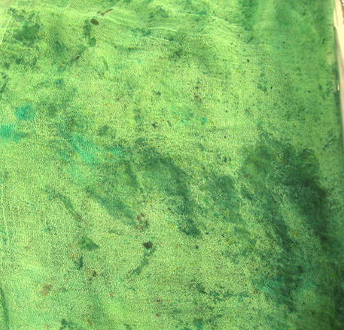 Zelená I. — foto 2