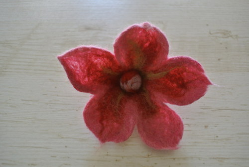 Květ ibišku — foto 2