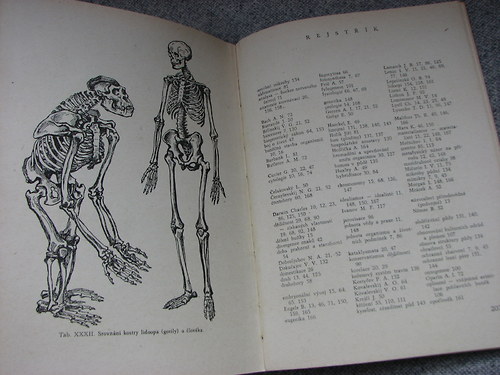 Základy Darwinismu, 1957 — foto 6