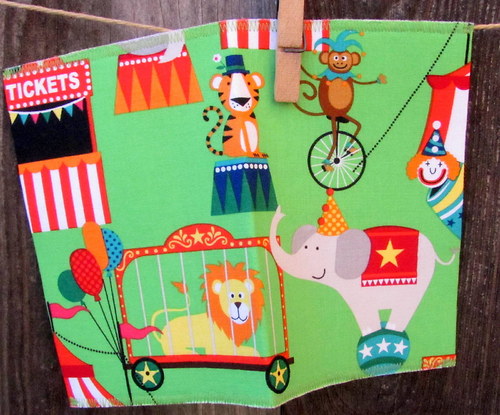 Obal na očkovací průkaz - cirkus — foto 2