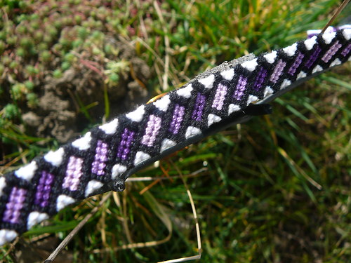 Domino do fialova — foto 2