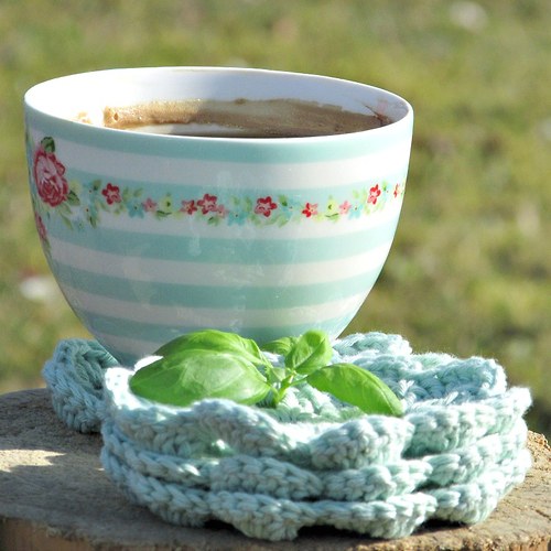 Kvetení ... candy mint — foto 3