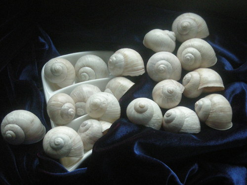Ulity - alabastrové - I. — foto 4