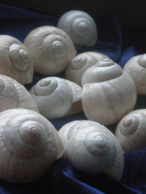 Ulity - alabastrové - III. — foto 2