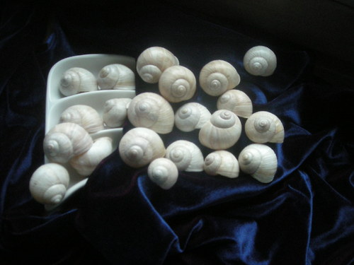 Ulity - alabastrové - III. — foto 6