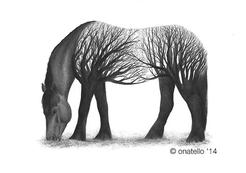 Equine Element - Star Sky — foto 6