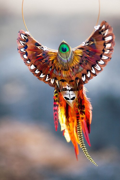 Phoenix (Fénix) — foto 4
