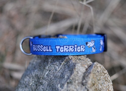 Obojek Jack a Parson Russell teriér modrý — foto 2