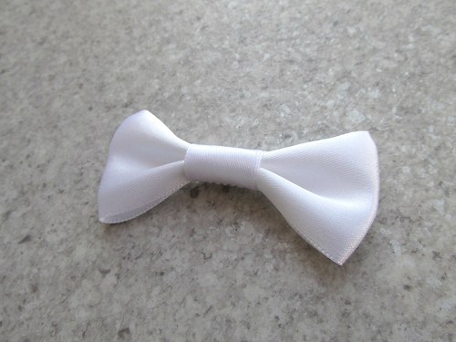 Motýlek vázankový_2 — foto 2