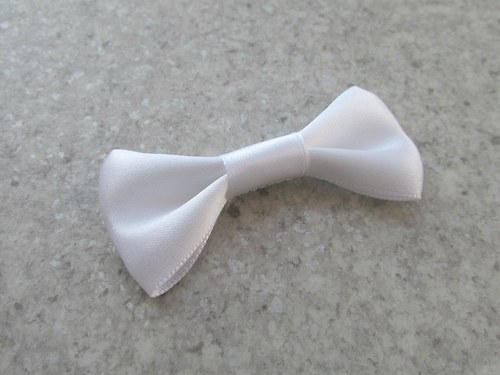 Motýlek vázankový_2 — foto 3