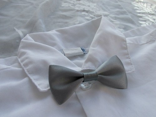 Motýlek vázankový_3 — foto 2