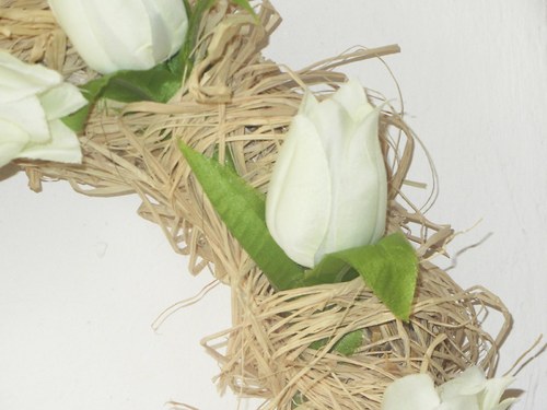 Tuli, tuli, tulipán — foto 3