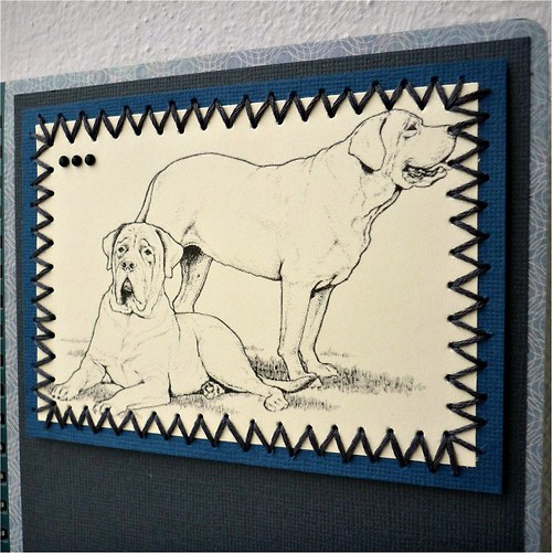 Zápisník A5: Dva velcí psi — foto 2