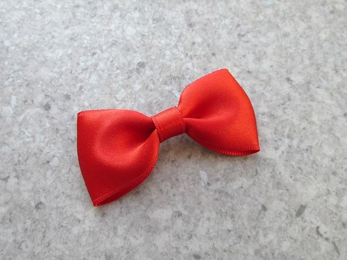 Motýlek vázankový_6 — foto 2