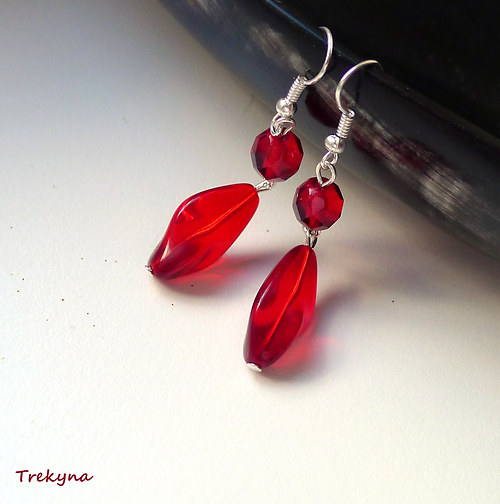 Červené duo — foto 4