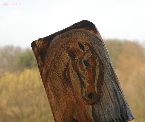 Koňská hříva .... brožka — foto 6