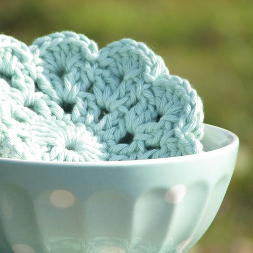 Kvetení ... candy mint — foto 6