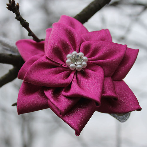 Fuchsiová růže — foto 3