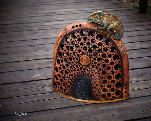 Chameleon na kopci — foto 2