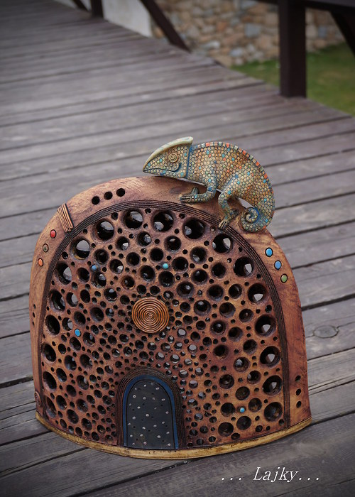 Chameleon na kopci — foto 4