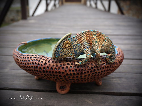 Chameleon — foto 2