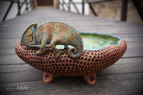 Chameleon — foto 3