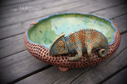 Chameleon — foto 4