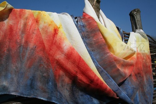 Plamen/Flame — foto 3