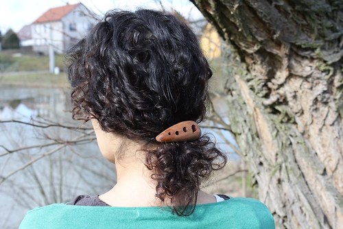Prunesis — foto 4