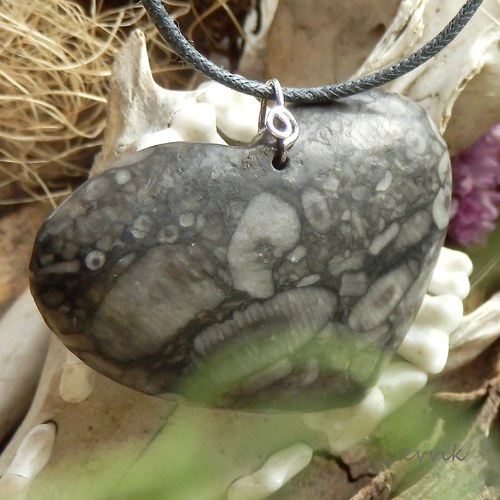 Prvohorní crinoidy - velké srdce — foto 3