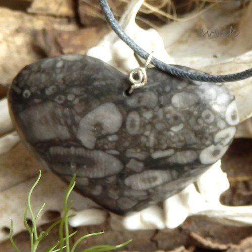 Prvohorní crinoidy - velké srdce — foto 6