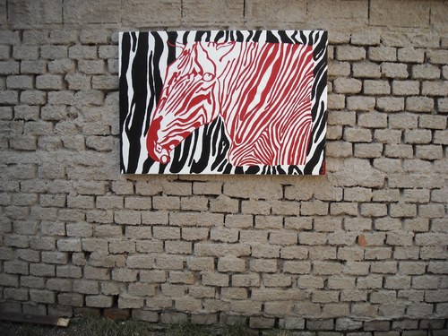 Zebra — foto 3