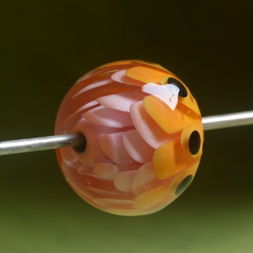 Slaměnka Henrietta — foto 3