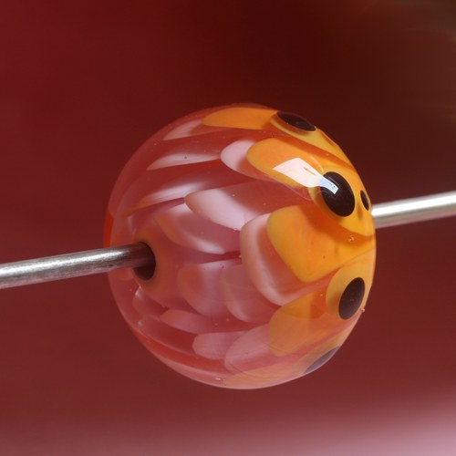 Slaměnka Henrietta — foto 6