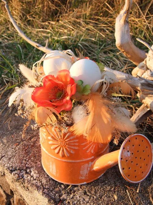 Oranžová jarní konývka — foto 2