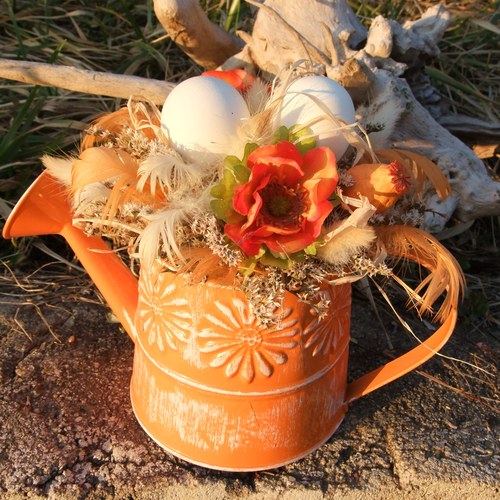 Oranžová jarní konývka — foto 3