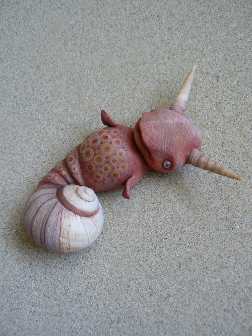 Ďáblík pihatý — foto 2
