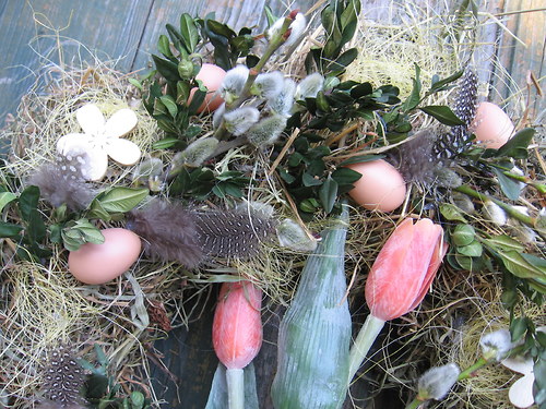 Vyrostly dva tulipány — foto 2