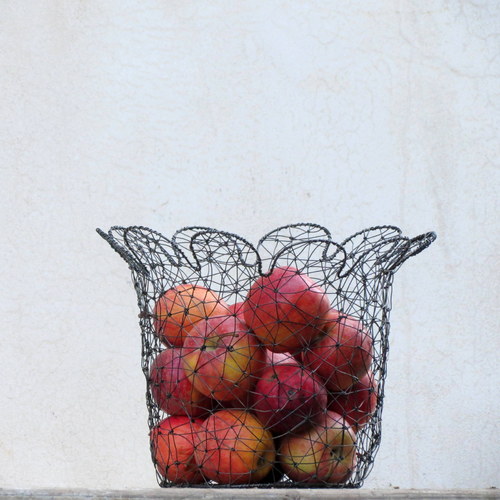 Kvetoucí košík — foto 2