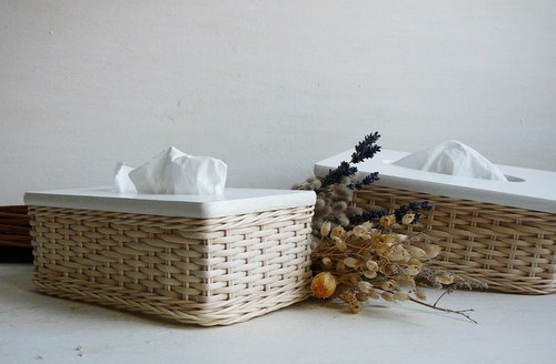 Kapesníkovník přírodní - bílé víko — foto 3