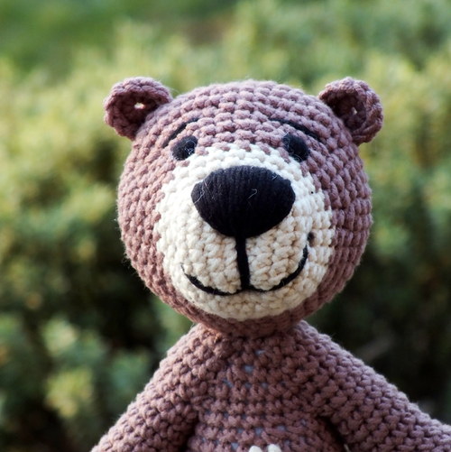 Medvěd atlaský (Ursus crowtheri) — foto 4