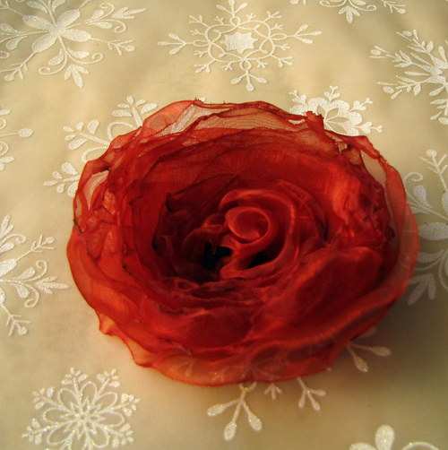 Krásně červená — foto 2