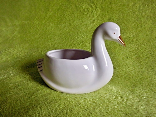 Biela labuť — foto 2