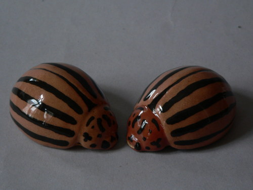 Píšťalka - mandelinka — foto 3